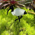 Bin-Chicken-Garden-Stake-500x500