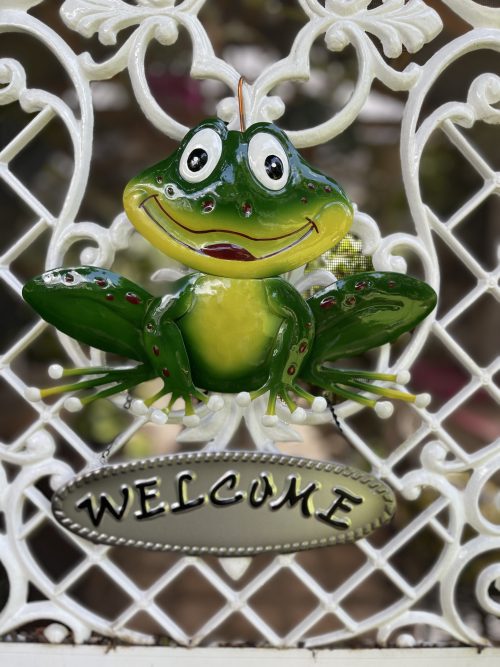 Cute-Frog-Welcome-1-500x667