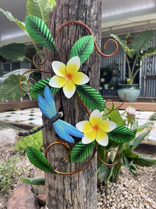Dragonfly-and-Frangi