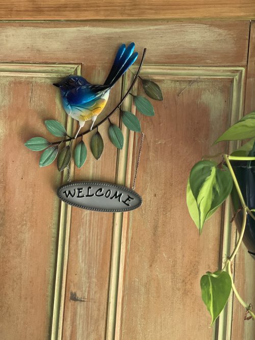 Elegant-Blue-Wren-Welcome-1-500x667