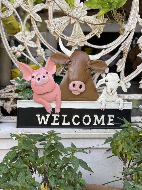 Farmyard-Welcome-5-500x667