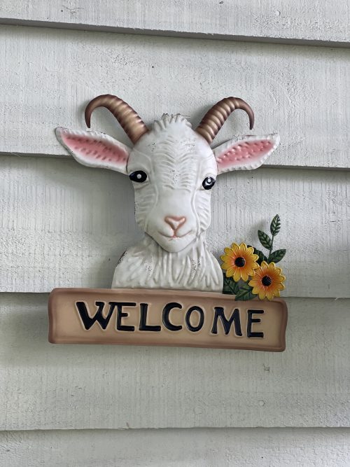 Goat-Welcome-4-500x667