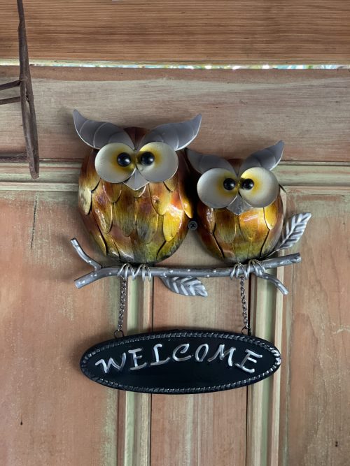 Owl-Welcome-Design-Updated-500x667