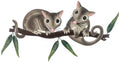 Possum-Pals-6-500x263