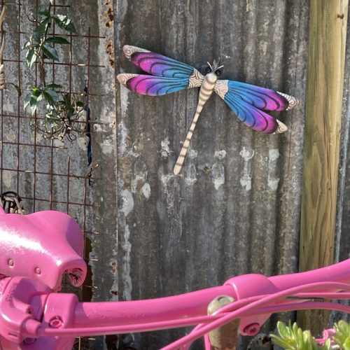 Pretty-dragonfly-500x500